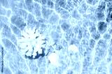 preview cold