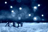 preview cold
