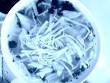 preview cold