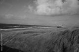 preview bw