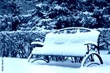 preview cold