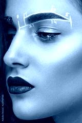 preview cold