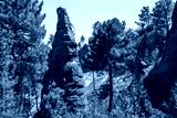 preview cold