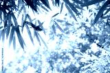 preview cold