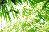 preview original