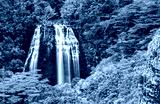 preview cold
