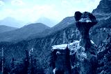 preview cold