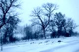 preview cold