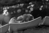 preview bw