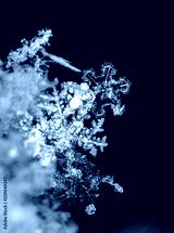 preview cold