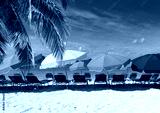 preview cold