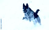 preview cold