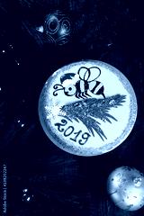 preview cold
