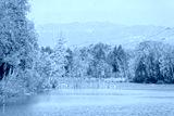 preview cold