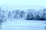 preview cold