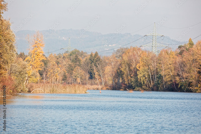 image to crop