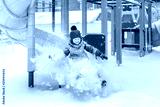 preview cold