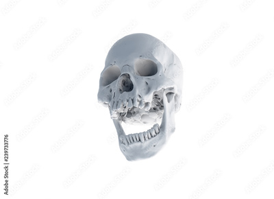 image to crop