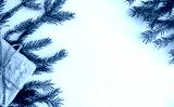 preview cold