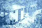 preview cold