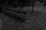 preview bw