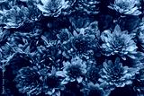 preview cold