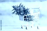 preview cold