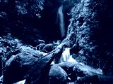 preview cold