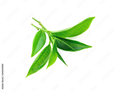 image to crop