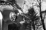 preview bw