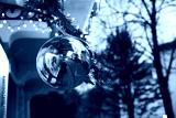 preview cold