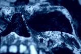 preview cold