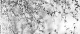 preview bw
