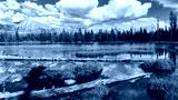 preview cold
