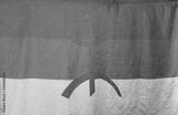 preview bw