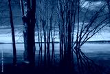 preview cold