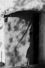preview bw