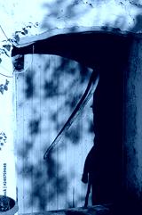 preview cold
