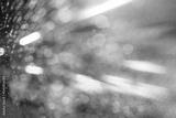 preview bw