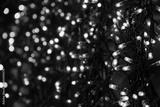 preview bw