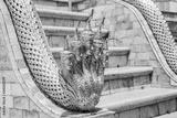 preview bw