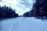 preview cold
