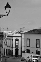 preview bw
