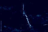 preview cold
