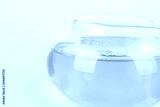 preview cold