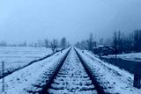 preview cold