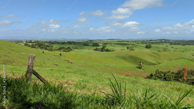 image to crop