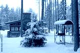 preview cold