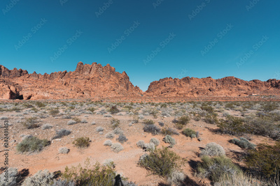 image to crop