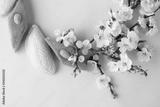 preview bw